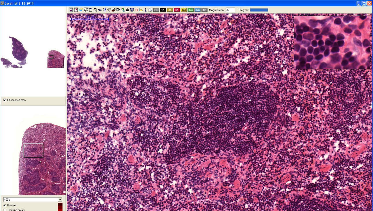 Imaris - Screenshot #2