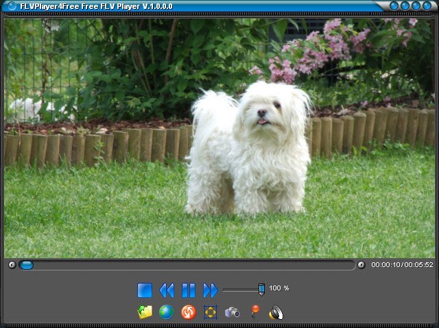 FLVPlayer4Free - Screenshot #14