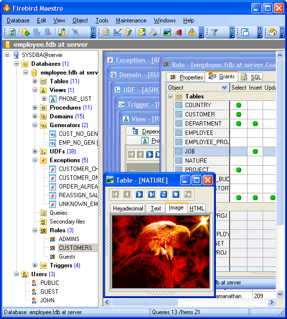 Firebird Maestro - Screenshot #10