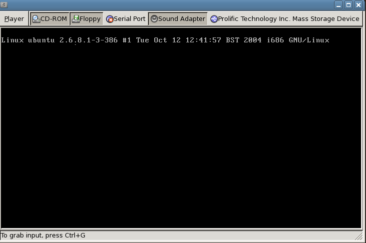 VMware Workstation Player - Screenshot #16