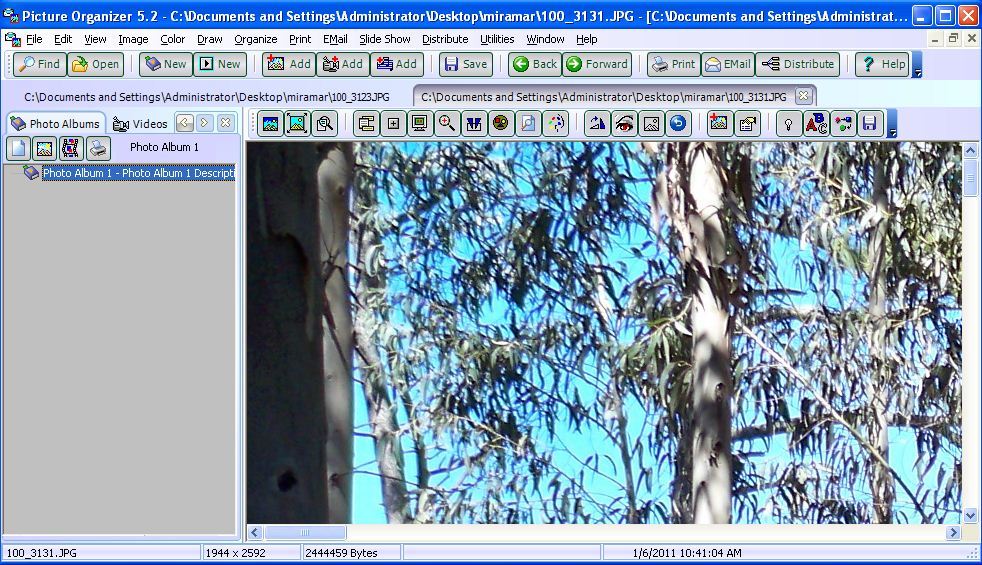 Picture Organizer - Screenshot #9