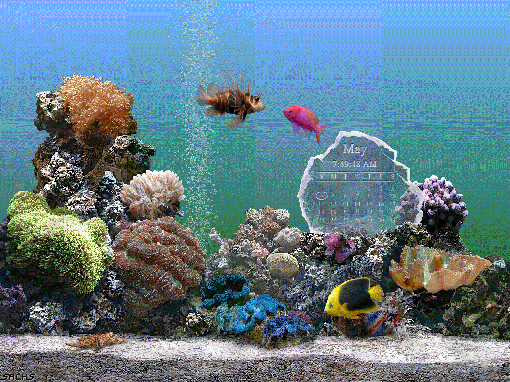 Marine Aquarium - Screenshot #17