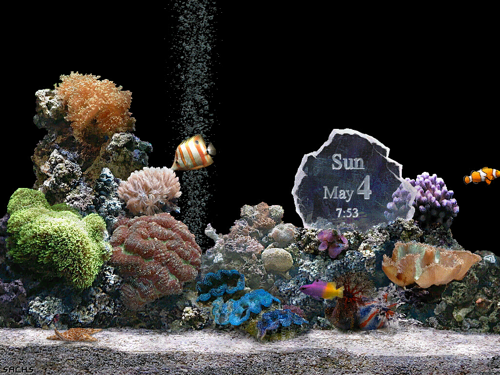 prolific publishing goldfish aquarium prolific publishing goldfish aquarium