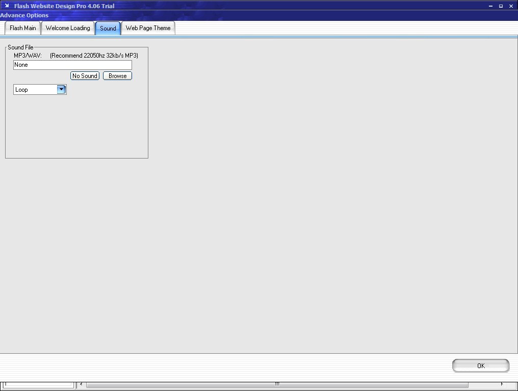 Flash Website Design - Screenshot #3