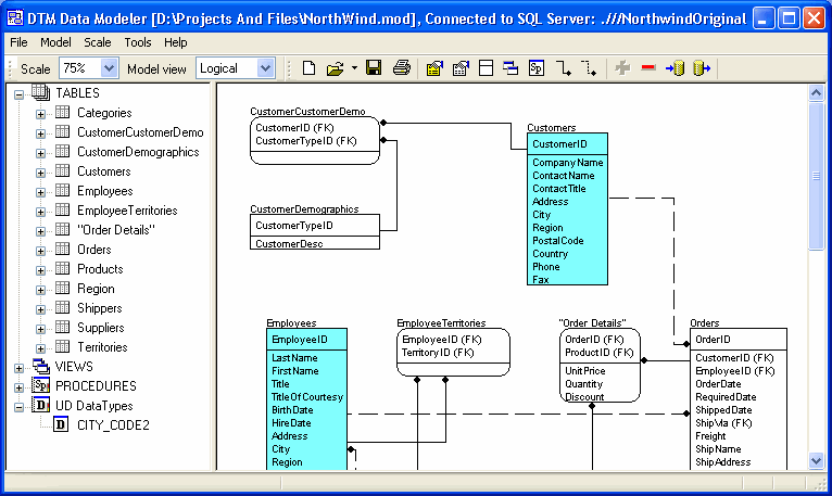 DTM Data Modeler latest version - Get best Windows software