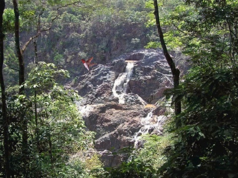 Australian Nature Photo Screensaver - Screenshot #4