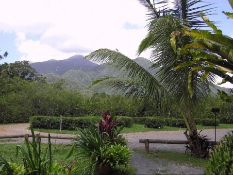 Australian Nature Photo Screensaver - Screenshot #1