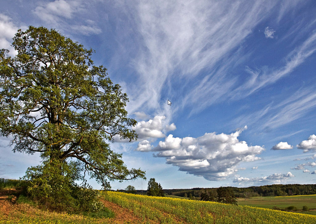 Latvian Landscapes Theme Pack - Screenshot #1