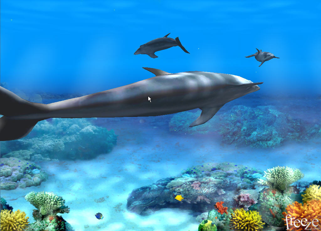 Living 3D Dolphins Animated Wallpaper - Screenshot #2