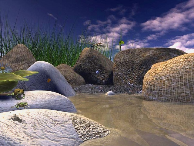 Dragon-Fly Screensaver - Screenshot #1