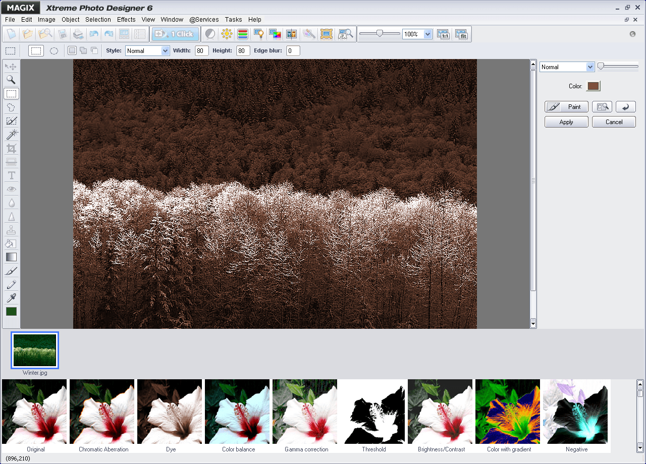 MAGIX Xtreme Photo Designer - Screenshot #7