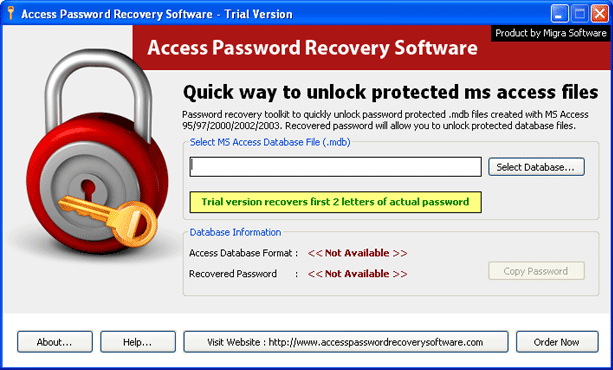 Access Password Recovery Software - Screenshot #6