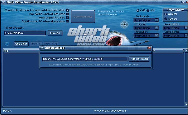 youtube download mp3 shark