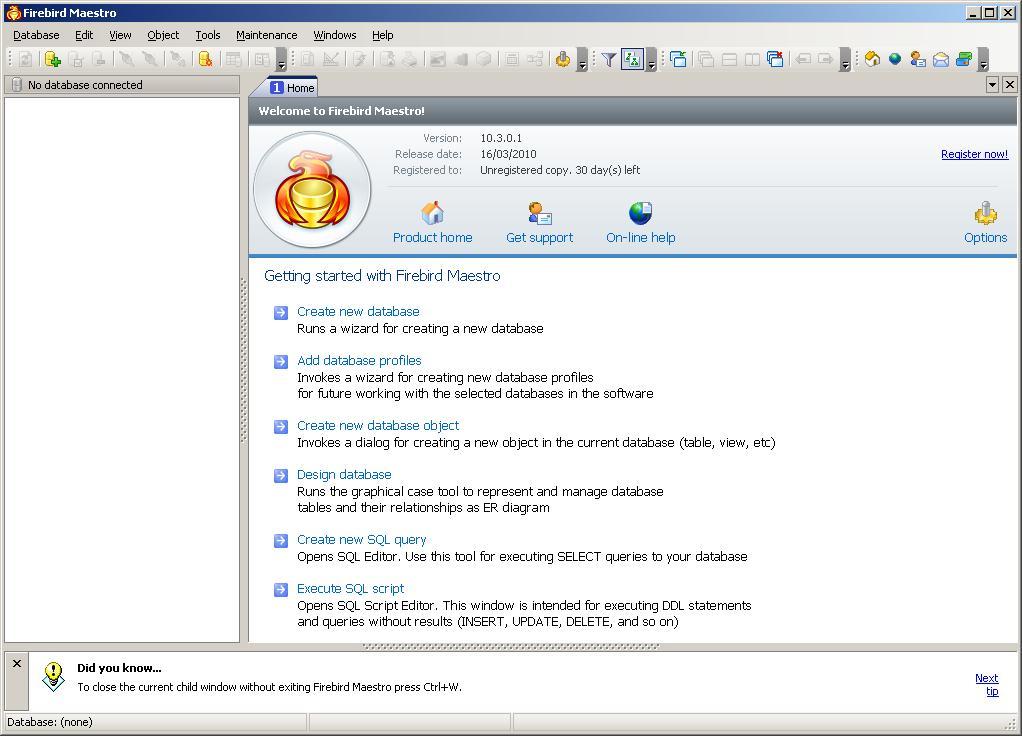 Firebird Maestro - Screenshot #6