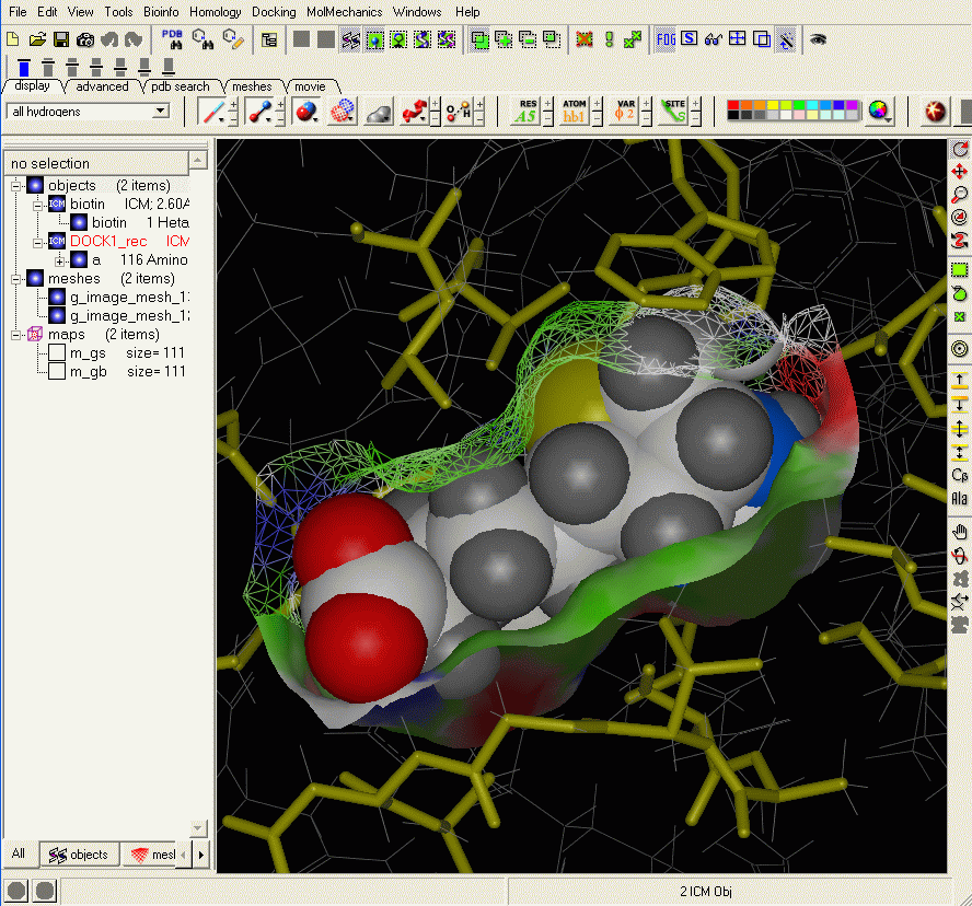Molsoft ICM-Chemist download for free - SoftDeluxe