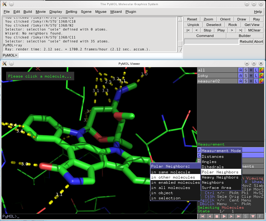 PyMOL - Screenshot #8