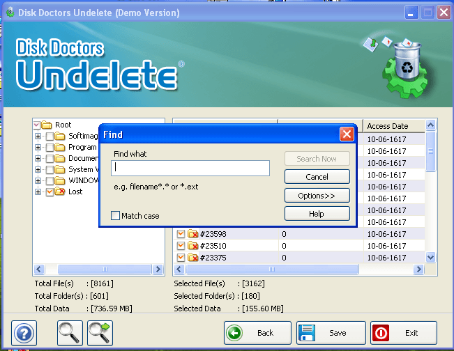 Disk Doctors Undelete - Screenshot #2