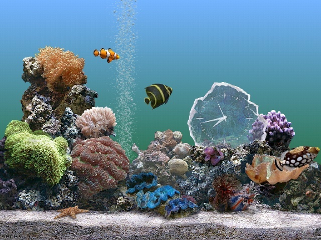 Marine Aquarium - Screenshot #11