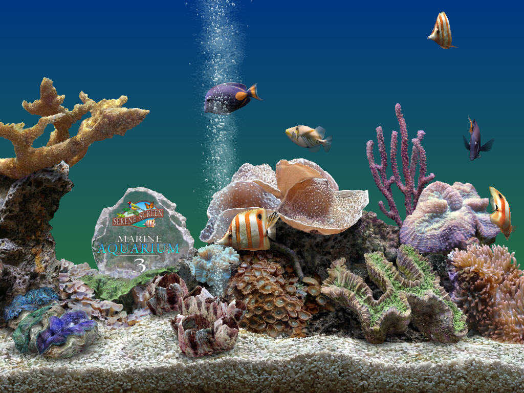 Marine Aquarium download for free - SoftDeluxe