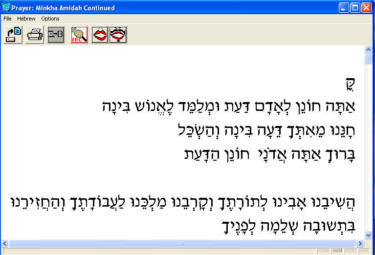 I Can Read the Prayers in Hebrew - Screenshot #1
