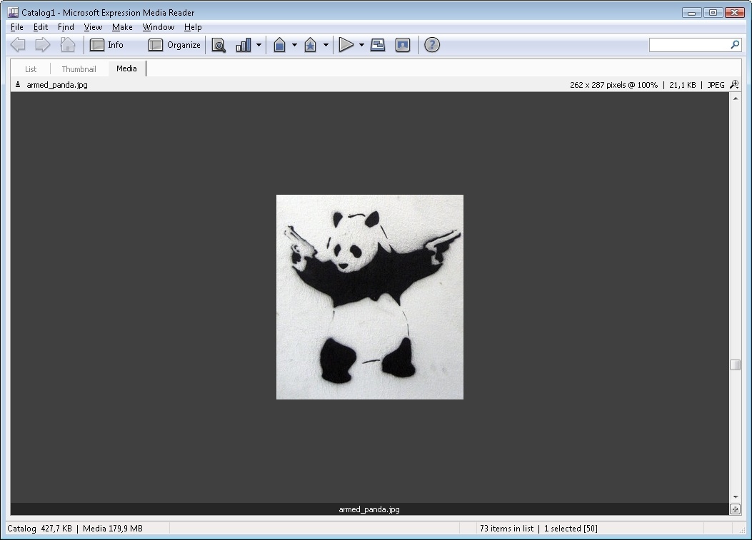Microsoft Expression Media Reader - Screenshot #3