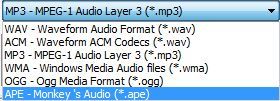 Radio Recorder Plus - Screenshot #2