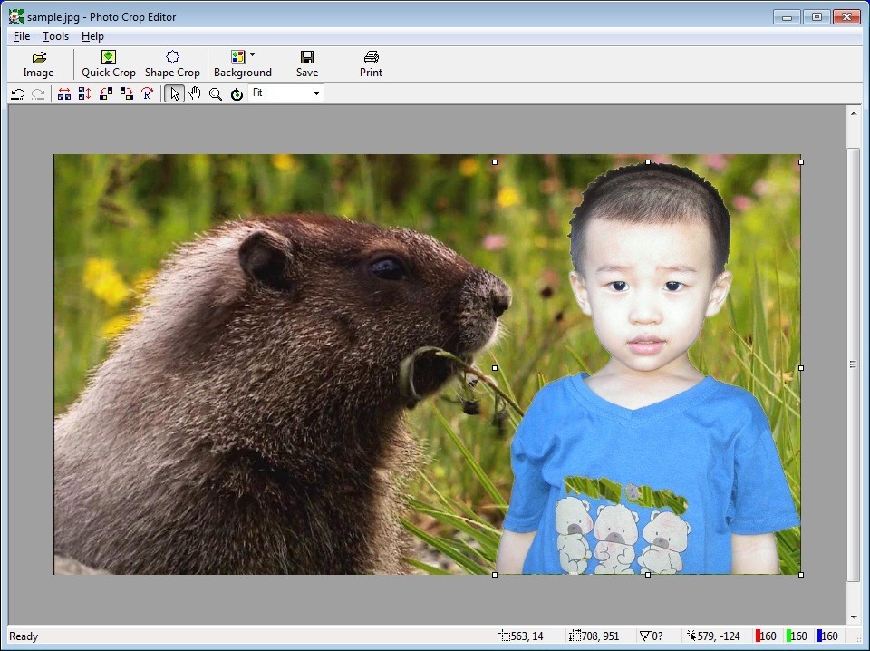 photo crop editor for pc