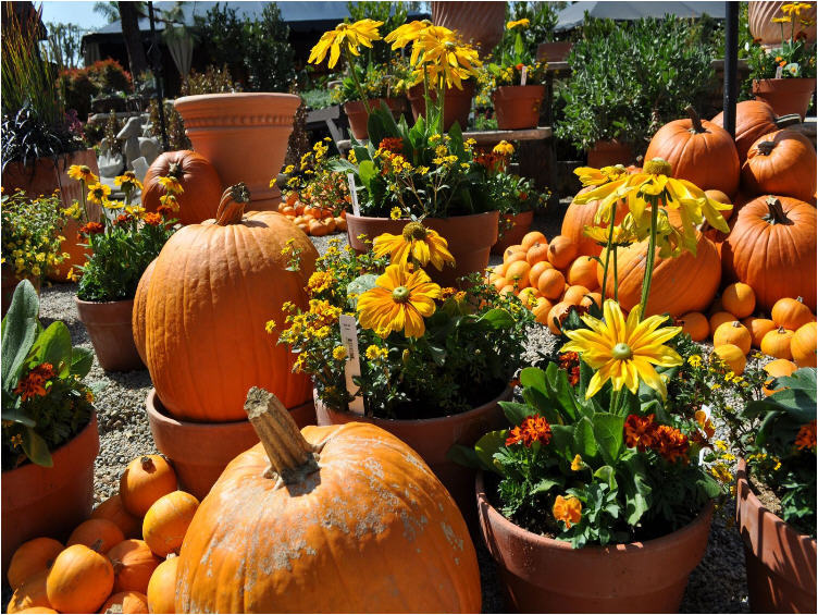 HalloweenBackground - Screenshot #1