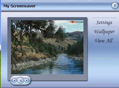 River In The Woods Screensaver - Screenshot #3