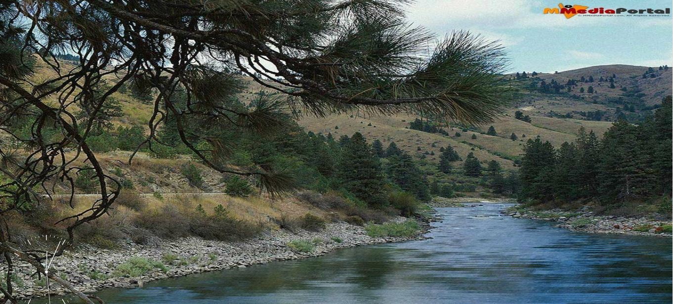 River In The Woods Screensaver - Screenshot #1