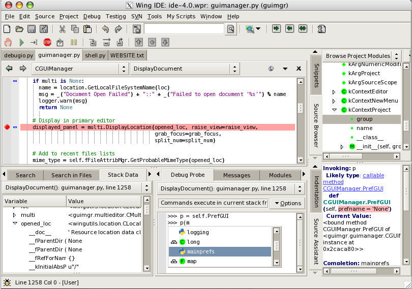 Wing IDE 101 - Screenshot #7