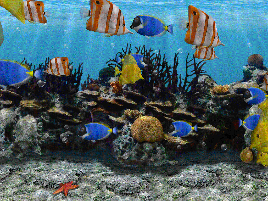 3D Fish School Screen Saver - Screenshot #10