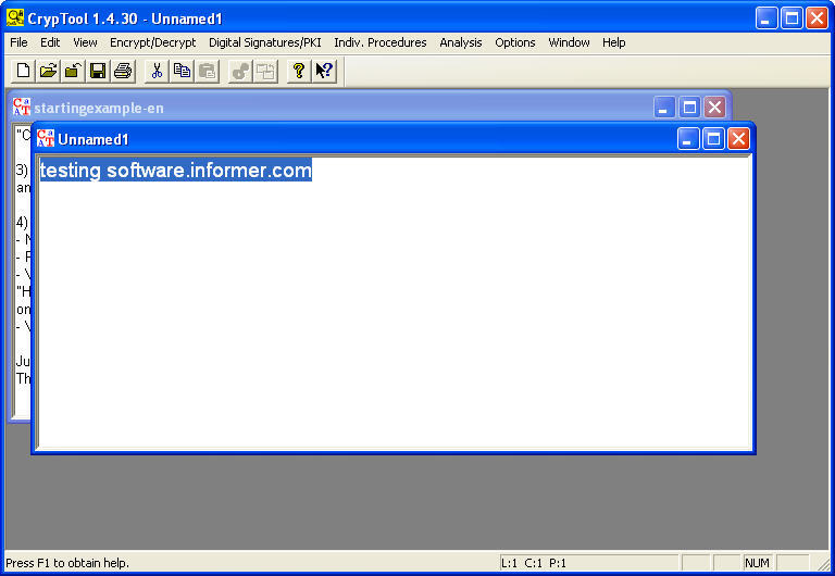 CryptTool - Screenshot #1