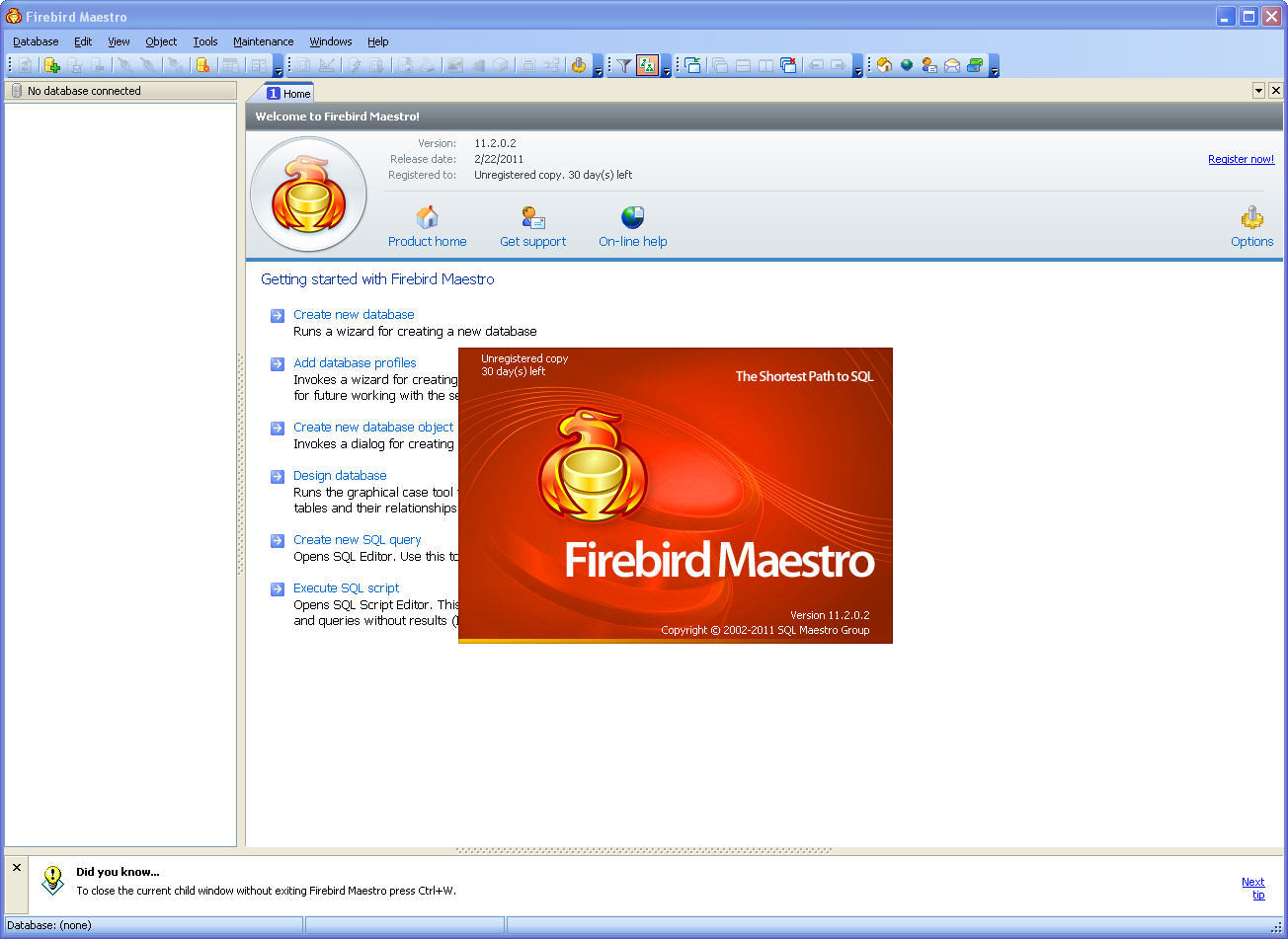 Firebird Maestro - Screenshot #3