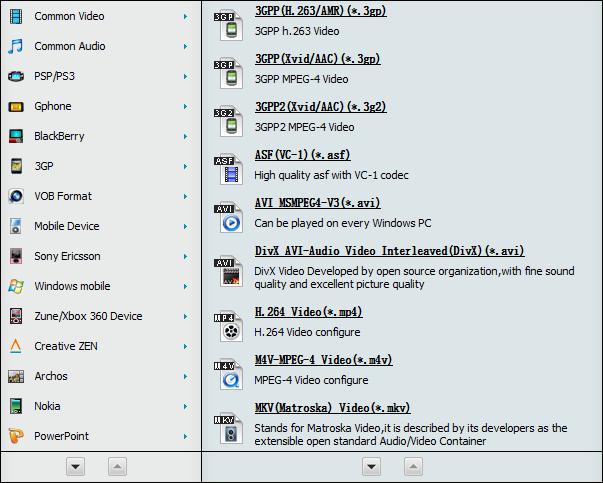 Tenorshare Free Video Converter - Screenshot #4