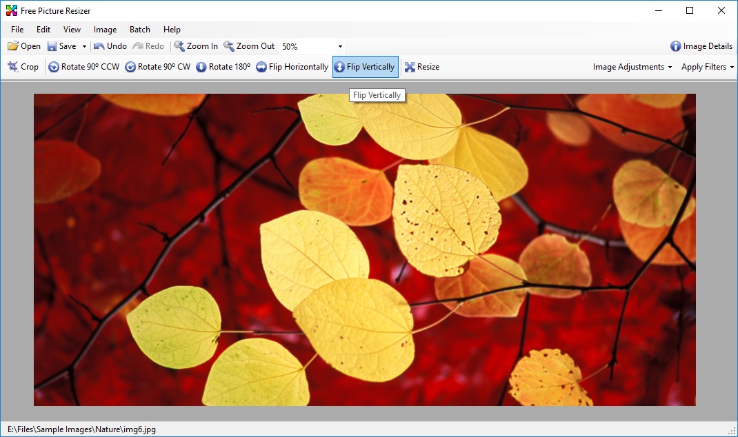 image resizer for pc free download