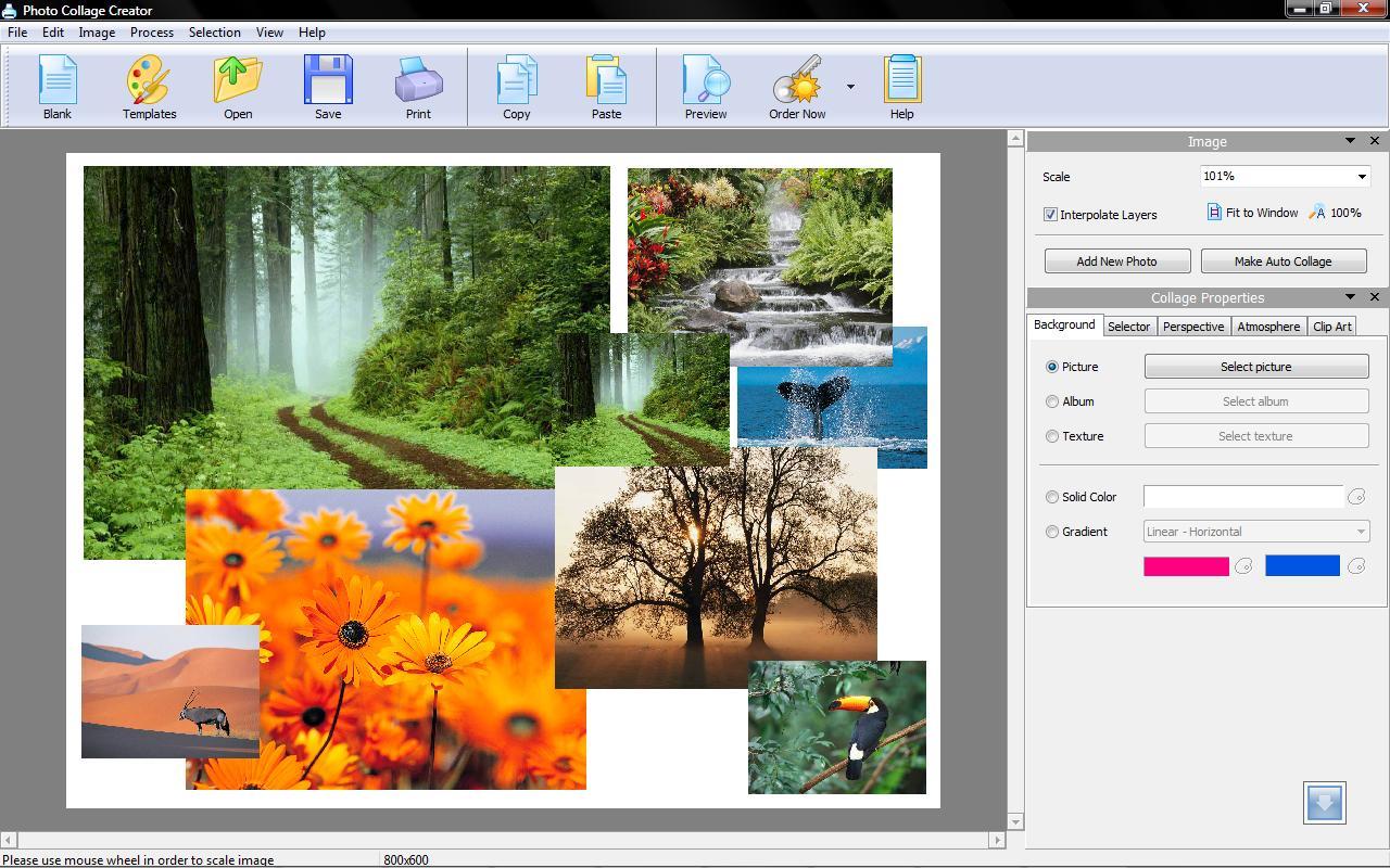 Photo Collage Creator download for free SoftDeluxe