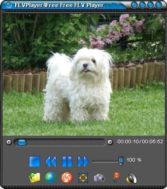 FLVPlayer4Free - Screenshot #6