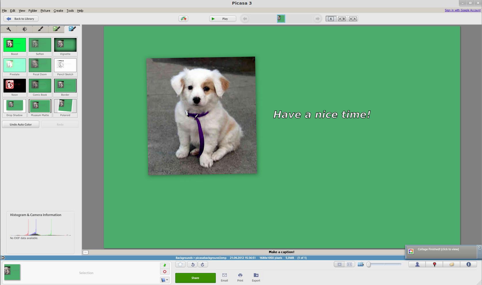 picasa 4 free download for windows 10