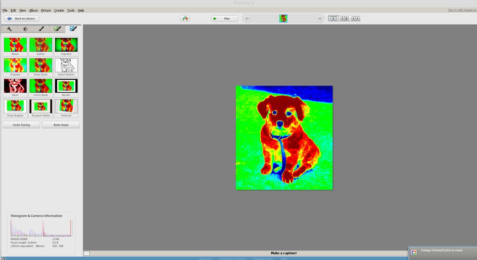 Picasa - Screenshot #2