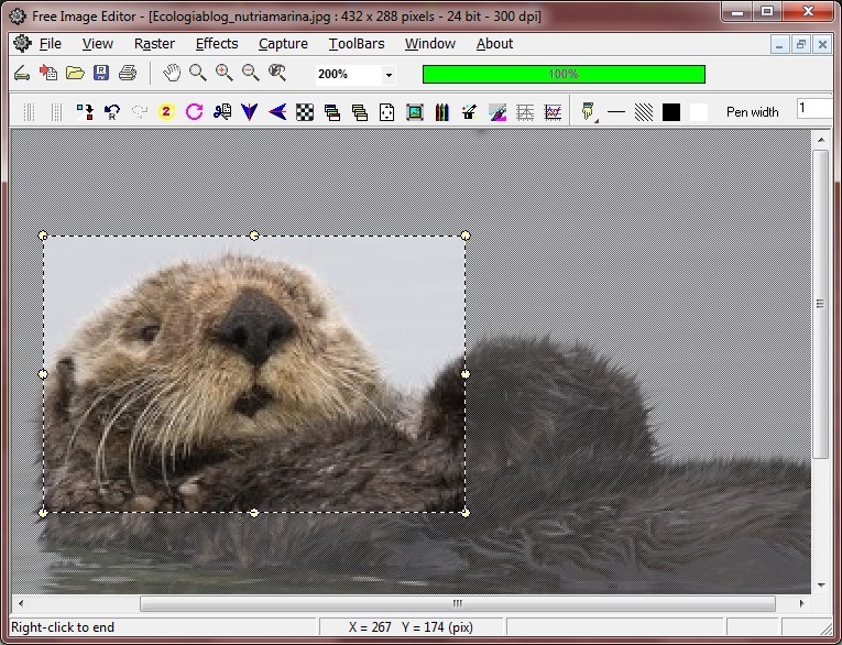 Free Image Editor - Screenshot #4
