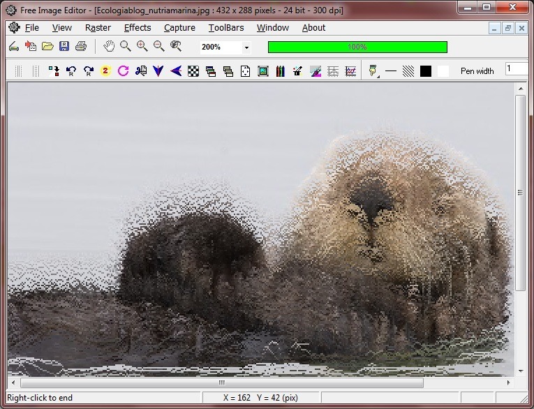 Free Image Editor - Screenshot #2