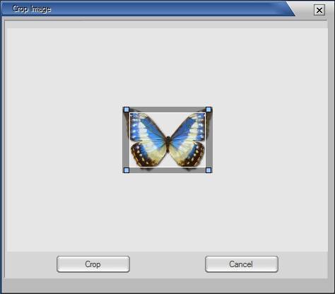 Convert Image to Html - Screenshot #3