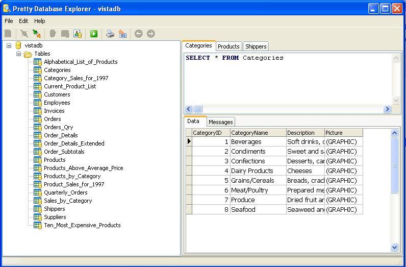 DataExplorer 3.8.0 download the last version for windows