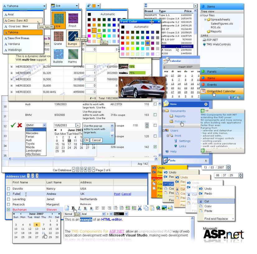 TMS ASP.NET Component Pack - Screenshot #1