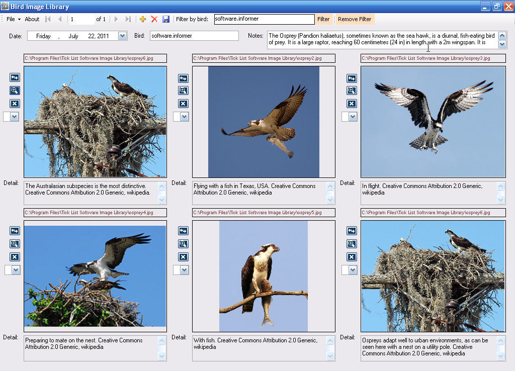 Bird Image Library download for free - SoftDeluxe