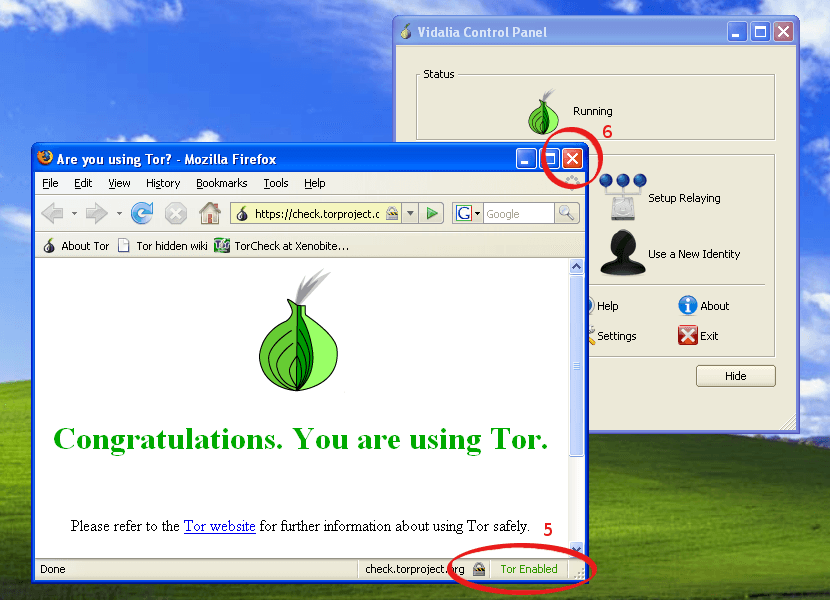 open tor browser window gidra