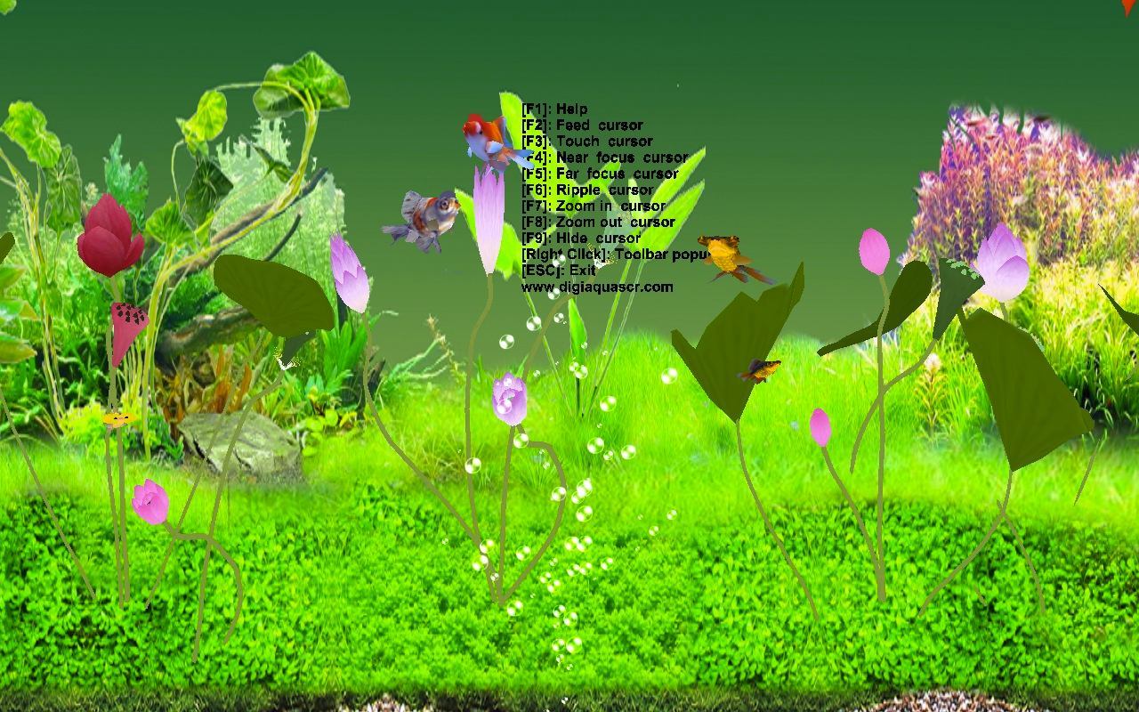 Digital Goldfish Screensaver - Screenshot #2