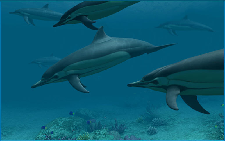 Dolphins 3D Screensaver and Animated Wallpaper - Screenshot #3