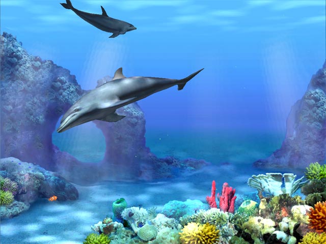 Dolphins 3d screensaver